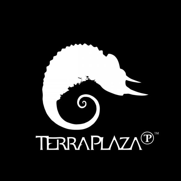 ZOOM Póló TerraPlaza simple logo fekete