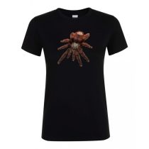 Caribena versicolor madárpók black női póló