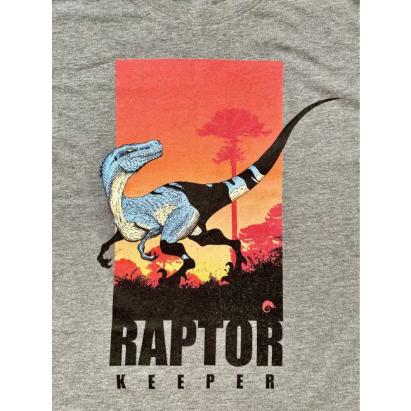 Raptor keeper grey melange női póló