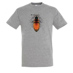 Gromphadorhina grey melange férfi póló Gromphadorhina grey melange férfi póló