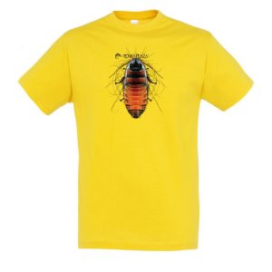 Gromphadorhina gold férfi póló Gromphadorhina gold férfi póló