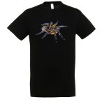 Harpactira pulchripes madárpók black férfi póló