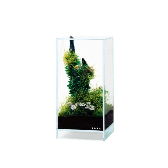 ADA DOOA Neo Glass AIR terrárium 20x20x35 cm