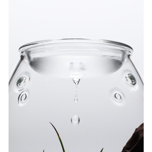 ADA DOOA Glass Pot SHIZUKU mikro terrárium