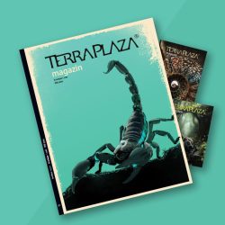 TerraPlaza magazin 1-3. szám