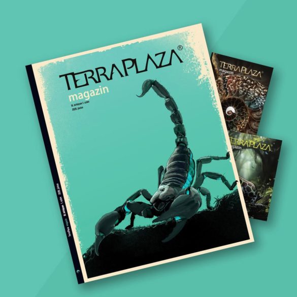 TerraPlaza magazin 1-3. szám