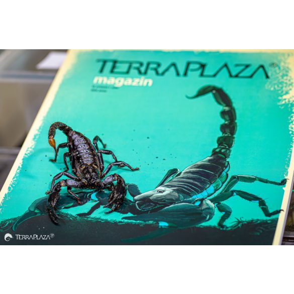 TerraPlaza magazin III. évfolyam 1. szám
