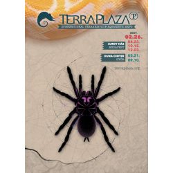 TerraPlaza XX5 eredeti plakát (A2 méret)