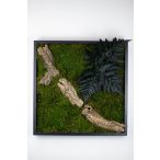 Stabilizált, gondozásmentes mohák keretezve - LeafCraft