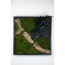 Stabilizált, gondozásmentes mohák keretezve - LeafCraft