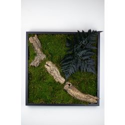 Stabilizált, gondozásmentes mohák keretezve - LeafCraft