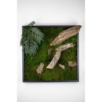 Stabilizált, gondozásmentes mohák keretezve - LeafCraft
