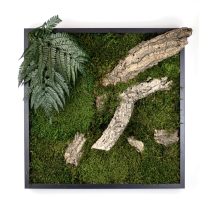 Stabilizált, gondozásmentes mohakép 52x52 cm - LeafCraft