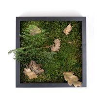 Stabilizált, gondozásmentes mohakép - LeafCraft