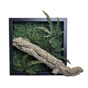 Stabilizált, gondozásmentes mohakép - LeafCraft