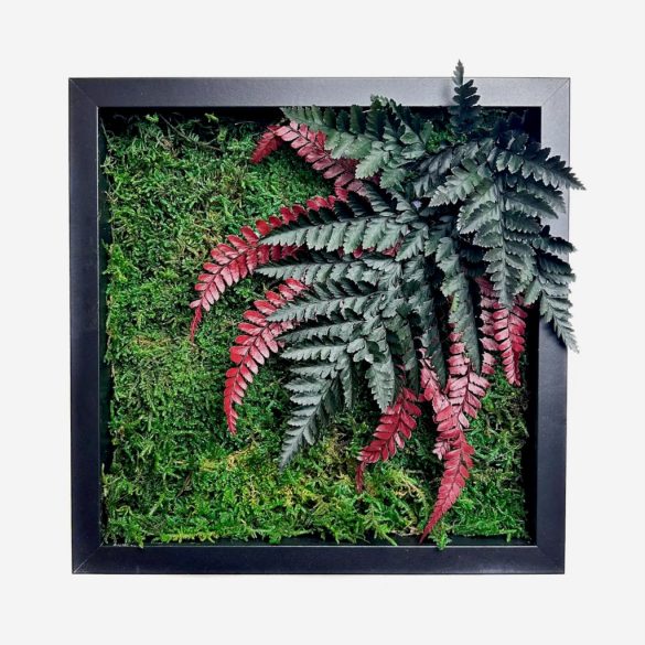 Stabilizált, gondozásmentes mohakép - LeafCraft