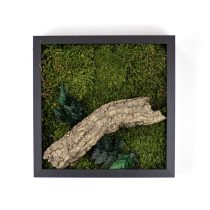 Stabilizált, gondozásmentes mohakép - LeafCraft