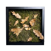 Stabilizált, gondozásmentes mohakép - LeafCraft