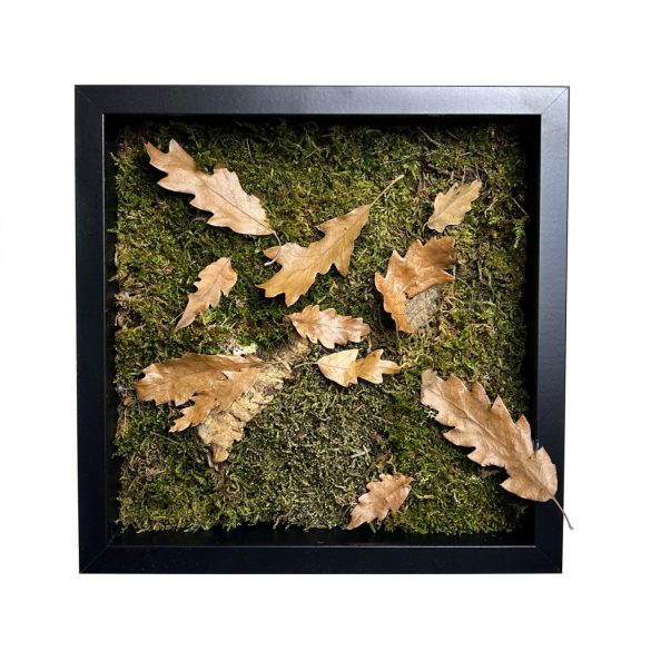 Stabilizált, gondozásmentes mohakép - LeafCraft