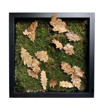 Stabilizált, gondozásmentes mohakép - LeafCraft