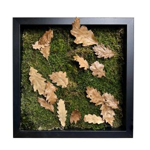 Stabilizált, gondozásmentes mohakép - LeafCraft