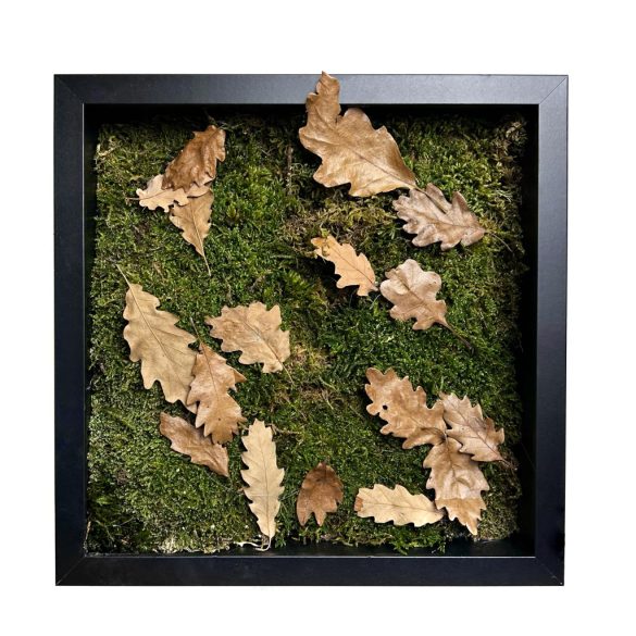 Stabilizált, gondozásmentes mohakép - LeafCraft