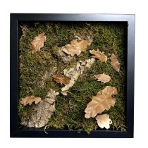 Stabilizált, gondozásmentes mohakép - LeafCraft