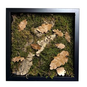 Stabilizált, gondozásmentes mohakép - LeafCraft