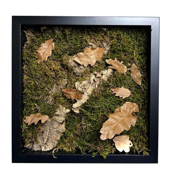 Stabilizált, gondozásmentes mohakép - LeafCraft