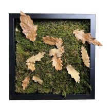 Stabilizált, gondozásmentes mohakép - LeafCraft