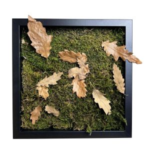 Stabilizált, gondozásmentes mohakép - LeafCraft