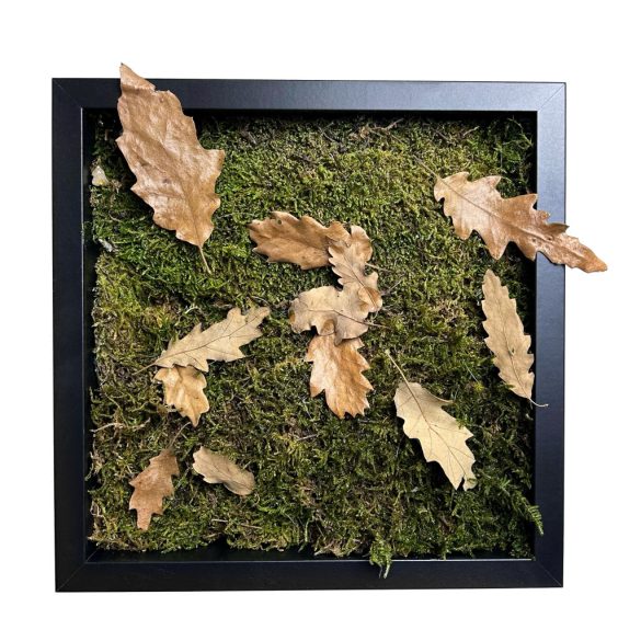 Stabilizált, gondozásmentes mohakép - LeafCraft