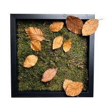Stabilizált, gondozásmentes mohakép - LeafCraft