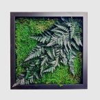 Stabilizált, gondozásmentes mohakép - LeafCraft