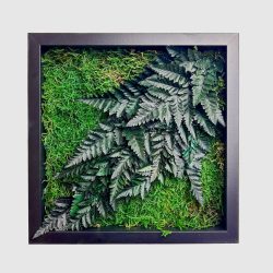 Stabilizált, gondozásmentes mohakép - LeafCraft