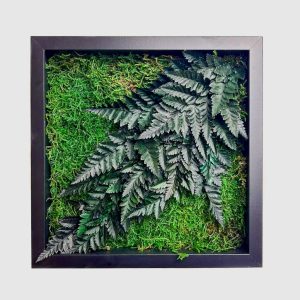 Stabilizált, gondozásmentes mohakép - LeafCraft