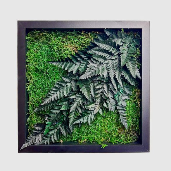 Stabilizált, gondozásmentes mohakép - LeafCraft