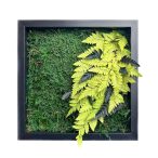Stabilizált, gondozásmentes mohakép - LeafCraft