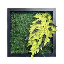 Stabilizált, gondozásmentes mohakép - LeafCraft