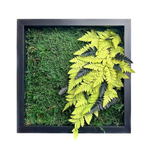 Stabilizált, gondozásmentes mohakép - LeafCraft