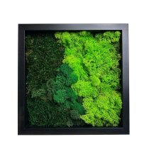 Stabilizált, gondozásmentes zuzmókép - LeafCraft