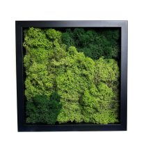 Stabilizált, gondozásmentes zuzmókép - LeafCraft
