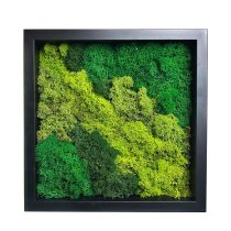 Stabilizált, gondozásmentes zuzmókép - LeafCraft