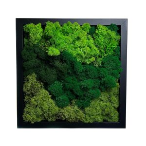 Stabilizált, gondozásmentes zuzmókép - LeafCraft