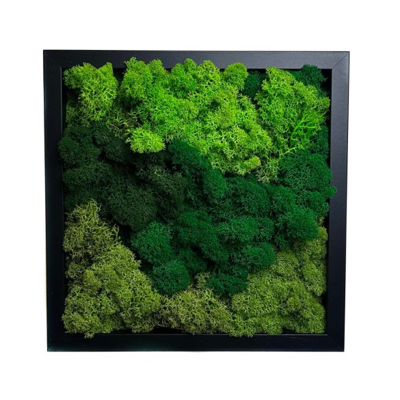 Stabilizált, gondozásmentes zuzmókép - LeafCraft