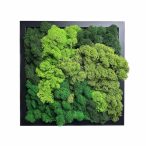 Stabilizált, gondozásmentes zuzmókép - LeafCraft