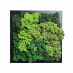 Stabilizált, gondozásmentes zuzmókép - LeafCraft