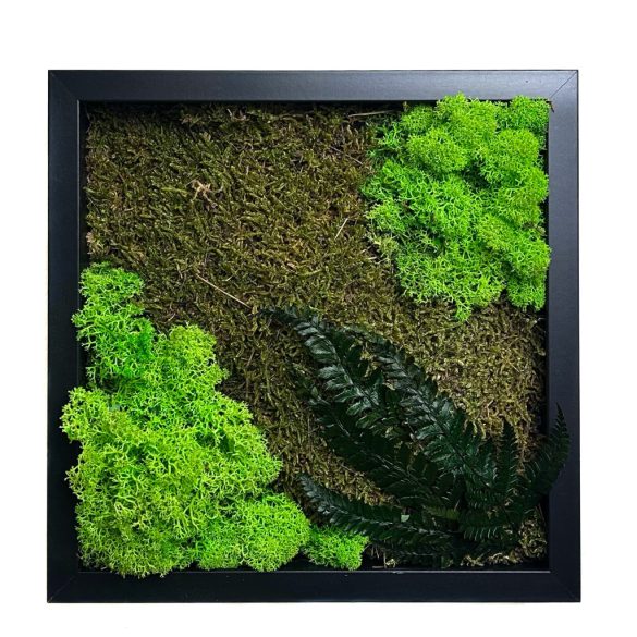 Stabilizált, gondozásmentes zuzmókép - LeafCraft
