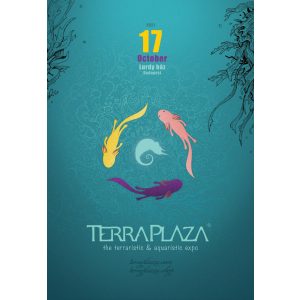 TerraPlaza 39th eredeti plakát (A2 méret)