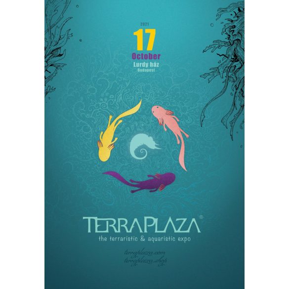 TerraPlaza 39th eredeti plakát (A2 méret)